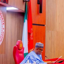 Akpabio Akwa Ibom The Role of the Senate in Protecting Democratic Accountability - Godswill Akpabio